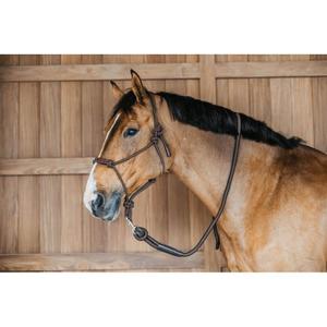 Riding lead with snap hook Dy'on image-2