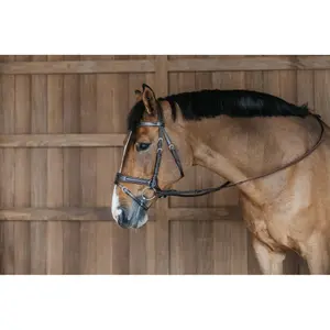 Hoofdstel Dy'on Working Motion image-3