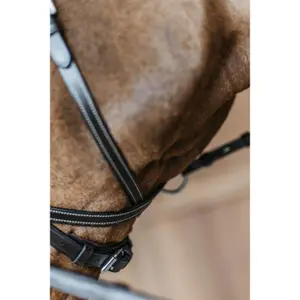 Hoofdstel Dy'on Working Motion image-4