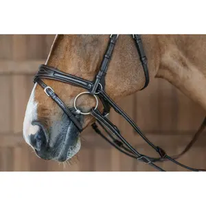 Hoofdstel Dy'on Working Motion image-5