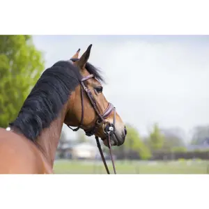 Two-ring horse bit Trust Inno Sense Medium-14 image-2