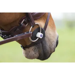 Two-ring horse bit Trust Inno Sense Medium-15 image-2