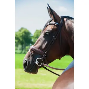 Mors oliva per cavallo a cannon mullen Trust Inno Sense 20 image-2