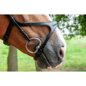 Olive bit for horses Trust Sweet Iron Eggbutt Bradoon Brassring image-3