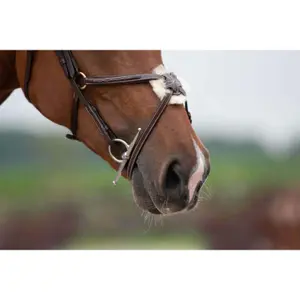 Needle Bit Trust Sweet Iron Full Cheek Brass Ring 16 image-3