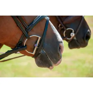 D-Ring Snaffle Bit for Horse Trust Inno Sense Port Medium 15 image-3