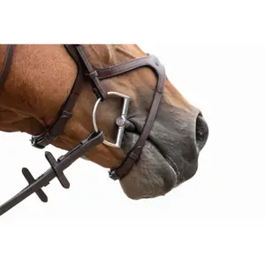 Verdun hästbit Trust Sweet Iron Dee Brass Ring 16 image-3