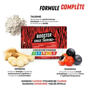 Boisson énergétique EA Fit Gmax Taurine image-1