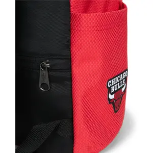 Plecak Eastpak Day Pak'r Chicago Bulls Heritage image-3