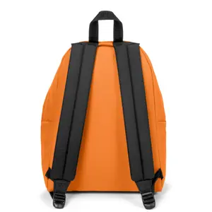 Sac à dos rembouré Eastpak Pak'R image-4