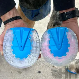 Gesloten voorbeenijzer Easycare EasyShoe One Glue image-4