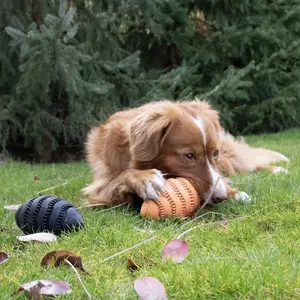 Jouet Ταΐσματος Για Σκύλους Ebi Nibble me Rugby image-3