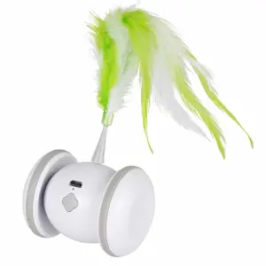 Kattleksaker Ebi Racing Roller image-0