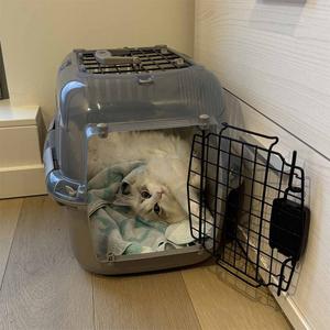 Transportkasse til hunde og katte Ebi Adventurer image-1