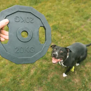 Hundespielzeug in Form einer Hantel Ebi For The Gainz image-2
