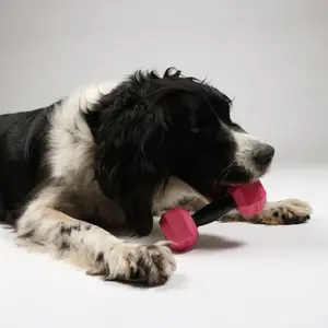 Juguete para perro con mancuernas Ebi For The Gainz image-3
