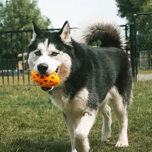 Rugby trekspeeltje voor honden Ebi Crack Me Up image-3