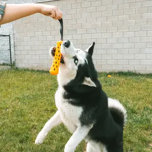 Παιχνίδι για σκύλους ραβδί Ebi Crack Me Up image-3