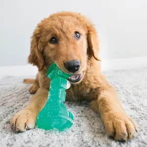 Παιχνίδι για σκύλους Ebi Lick My Ball image-1