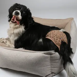 Hose für Hunde Ebi image-1