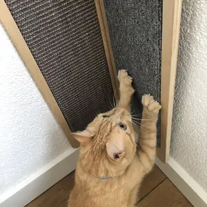 Kratzteppich für die Katzenecke Ebi Krappa image-3