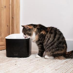 Wasserspender Ebi Manoa image-1