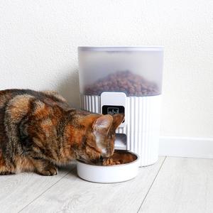 Dog food dispenser Ebi Talakona image-2