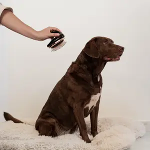 Peigne pour chien anti-nœuds et dilution 2 en 1 Ebi image-2