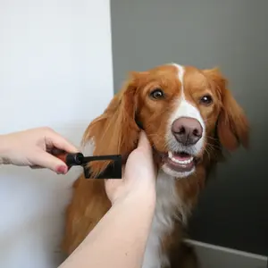 Vlooienkam voor honden Ebi image-2