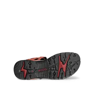 Dames wandelsandalen Ecco image-4