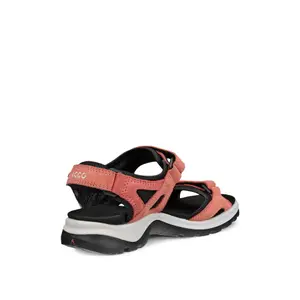 Dames wandelsandalen Ecco image-3