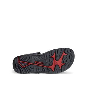 Wandelsandalen Ecco Offroad image-4
