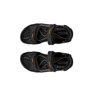 Wandelsandalen Ecco Offroad image-4