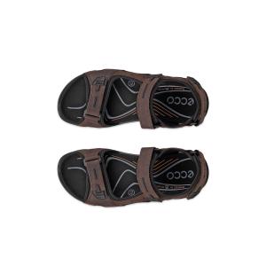 Wandelsandalen Ecco Offroad image-3
