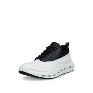 Baskets Ecco Biom 720 Low GTXS Lea image-1