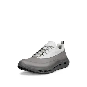Baskets Ecco Biom 720 Low GTXS Lea image-1