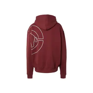 Hooded sweatshirt Big Logo image-2