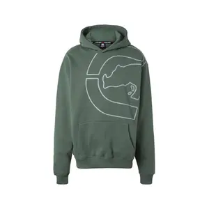 Hooded sweatshirt Big Logo