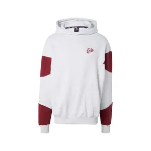 Hooded sweatshirt Structure