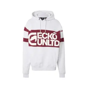 Hooded sweatshirt Flagship