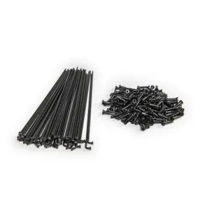 Rayon Eclat PG (x40) image-1