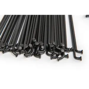 Rayon Eclat PG (x40) image-2