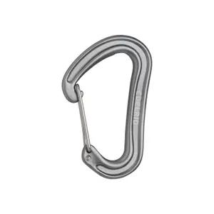 Climbing carabiner Edelrid Nineteen G image-0