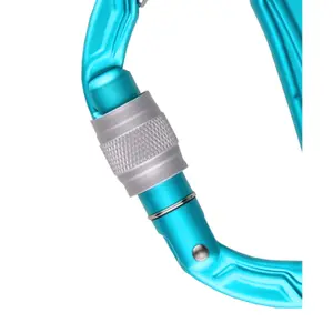 Karabiner Klettern Edelrid Bulletproof Screw image-2