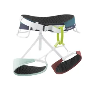 Climbing harness Edelrid Moe 3R image-0