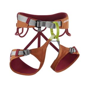 Klettergurt Edelrid Jay IV image-0