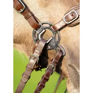 Hackamore para caballo Edix Saddles Hack-Halo-Pro