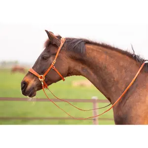 Bitless bridle for horses Edix Saddles ED2-Rose