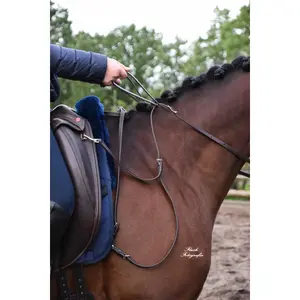 Hestetrøjer i læder til børn Edix Saddles English image-1