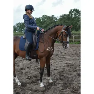 Hestetrøjer i læder til børn Edix Saddles English image-3